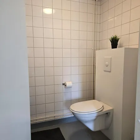 Kyyveden Kartano Kehaekukka 18 *